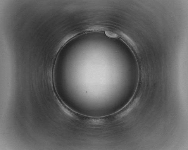 X0000110951041200906191246