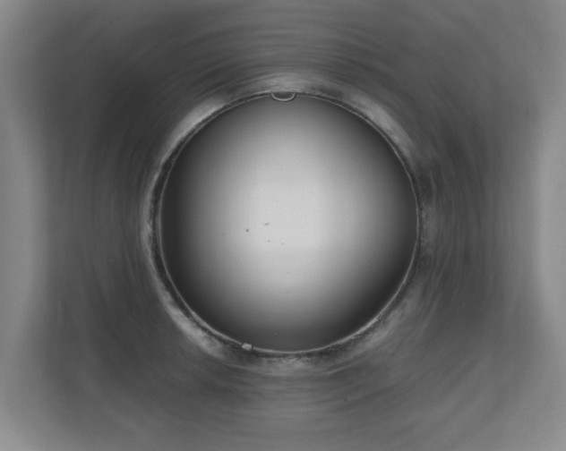 X0000110951042200906191246