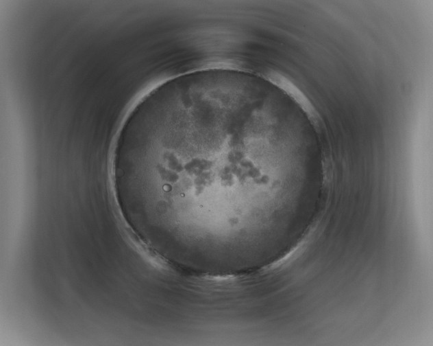 X0000110951043200906191247