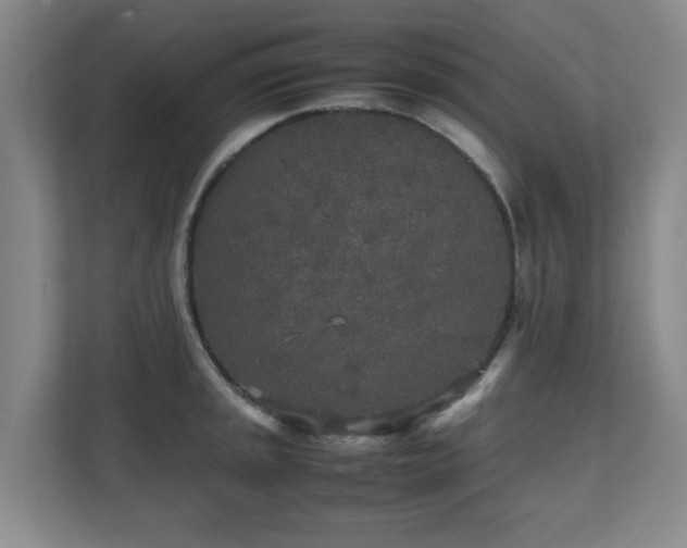 X0000110951045200906191247
