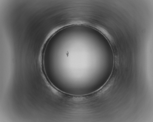 X0000110951046200906191247