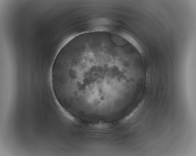 X0000110951047200906191247