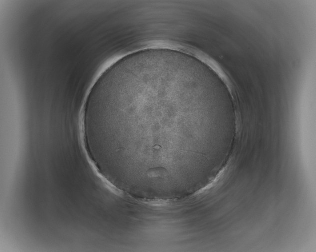 X0000110951048200906191247