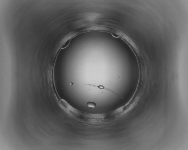 X0000110951049200906191247