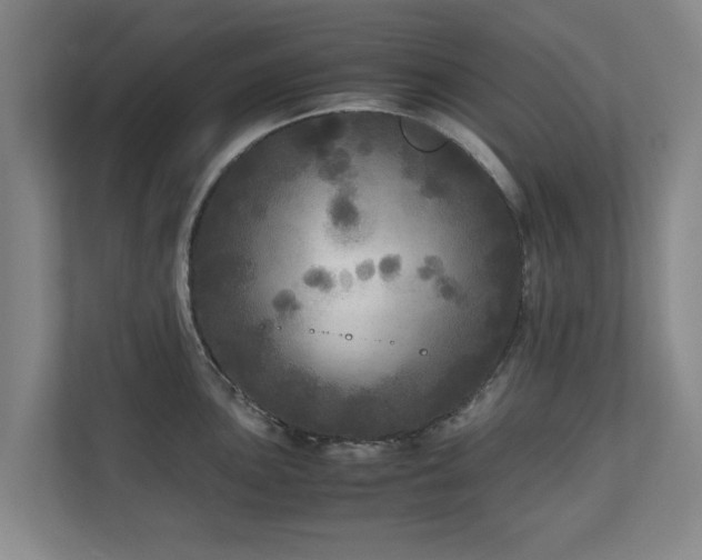 X0000110951051200906191247