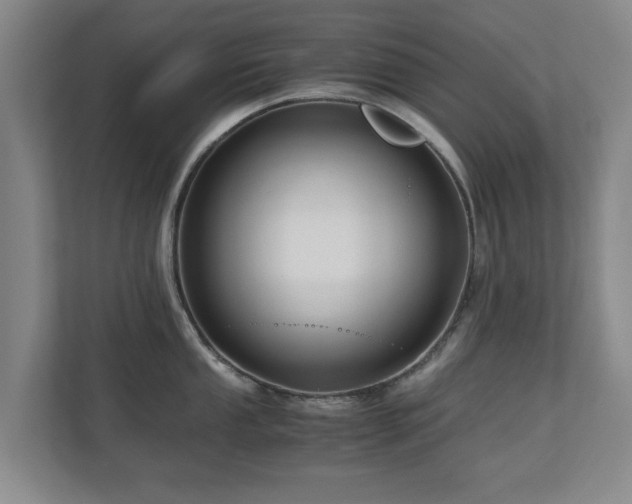 X0000110951053200906191247