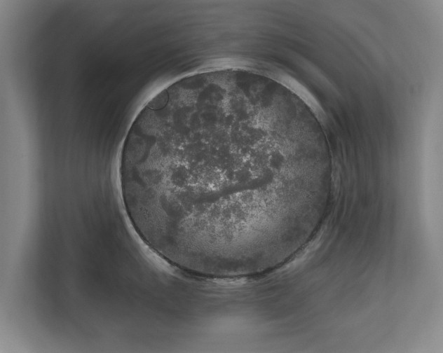 X0000110951055200906191247