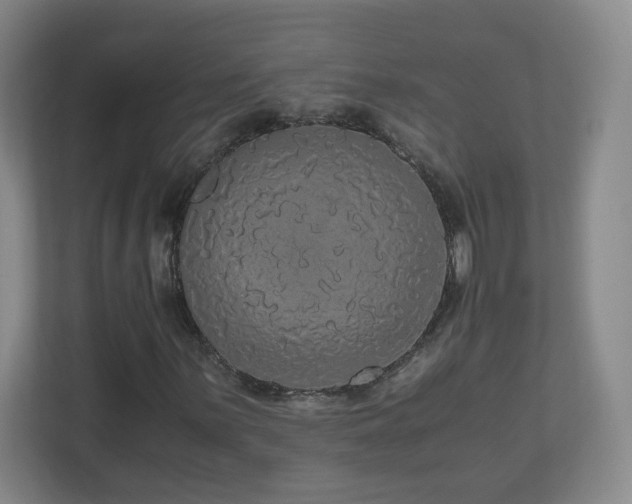 X0000110951059200906191246