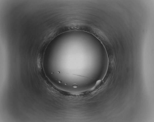 X0000110951060200906191246