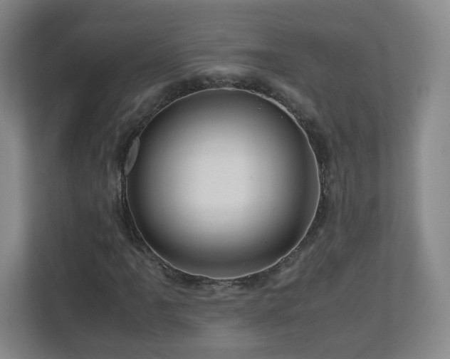 X0000110951061200906191246