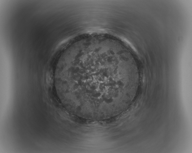 X0000110951063200906191246