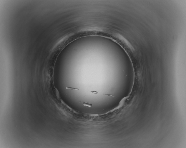 X0000110951064200906191246