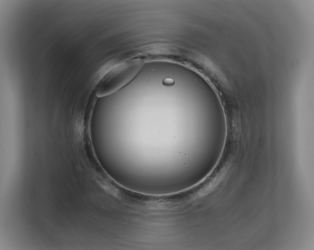 X0000110951065200906191246