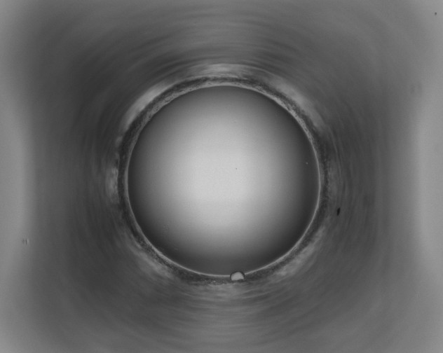 X0000110951066200906191246