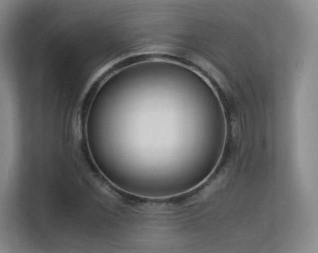 X0000110951069200906191246
