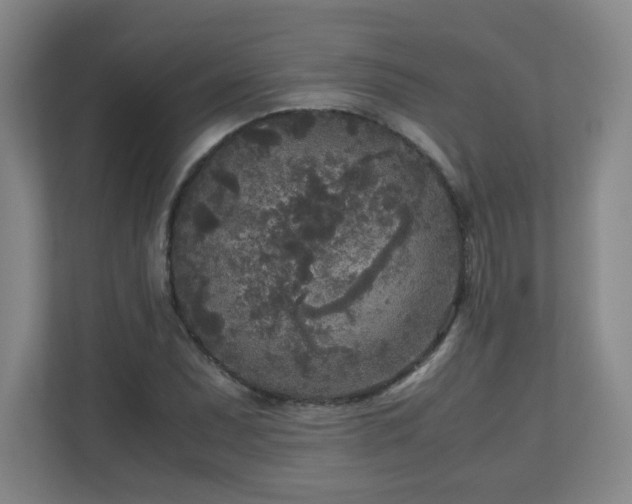 X0000110951071200906191246
