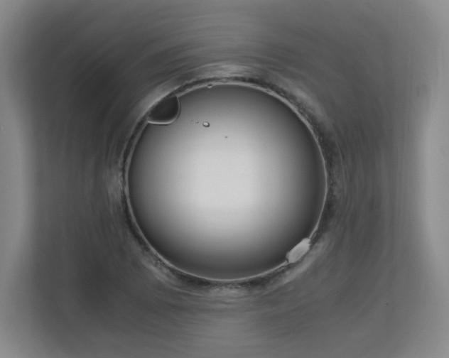 X0000110951073200906191246