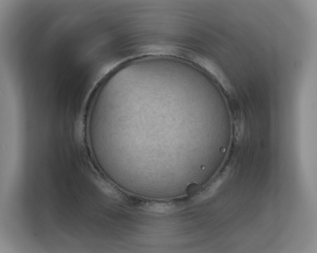 X0000110951074200906191246