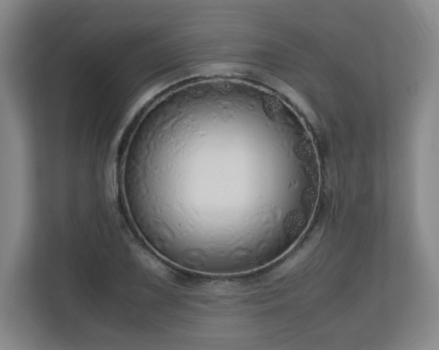 X0000110951075200906191246