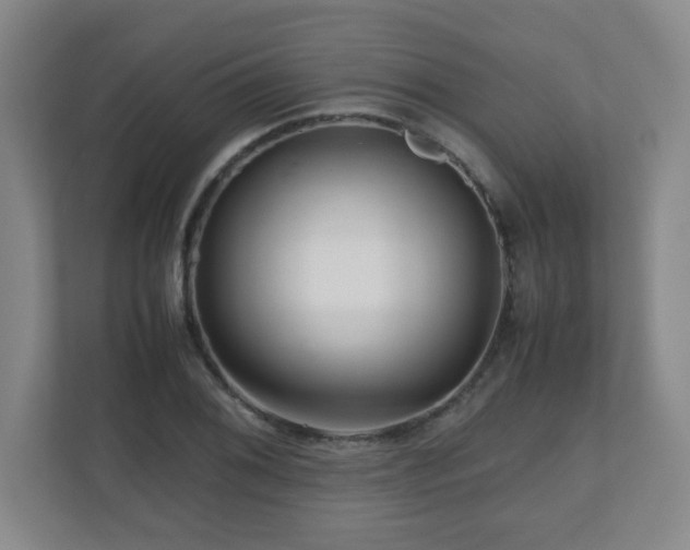 X0000110951076200906191246