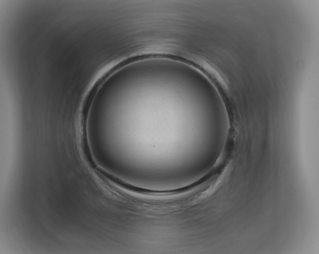 X0000110951077200906191246