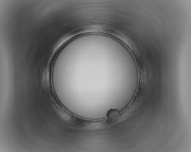 X0000110951078200906191246