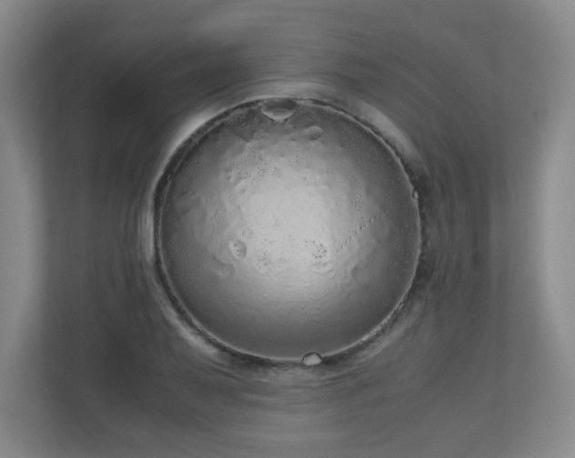 X0000110951079200906191246