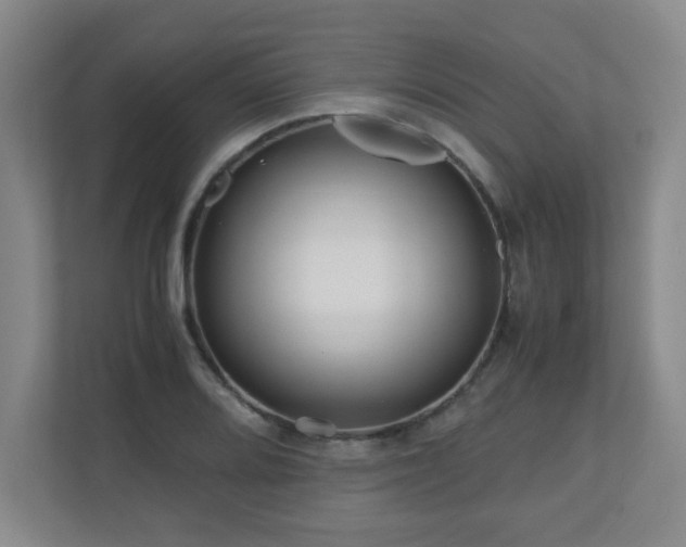 X0000110951080200906191246