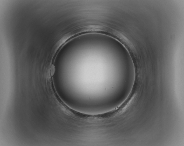 X0000110951081200906191246