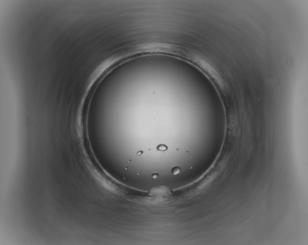 X0000110951082200906191246