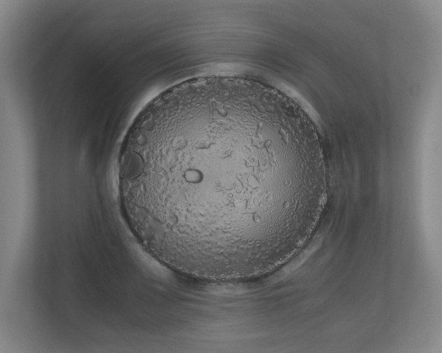 X0000110951083200906191246