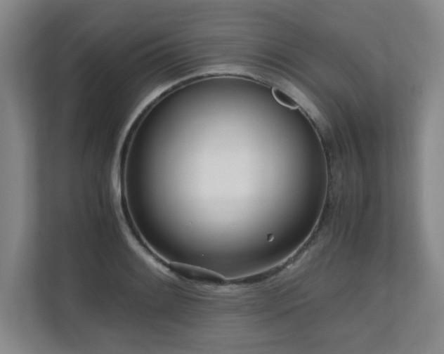 X0000110951084200906191246