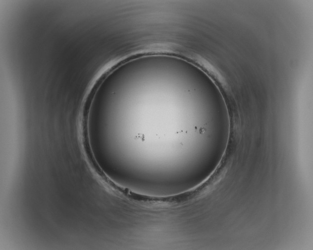 X0000110951085200906191246