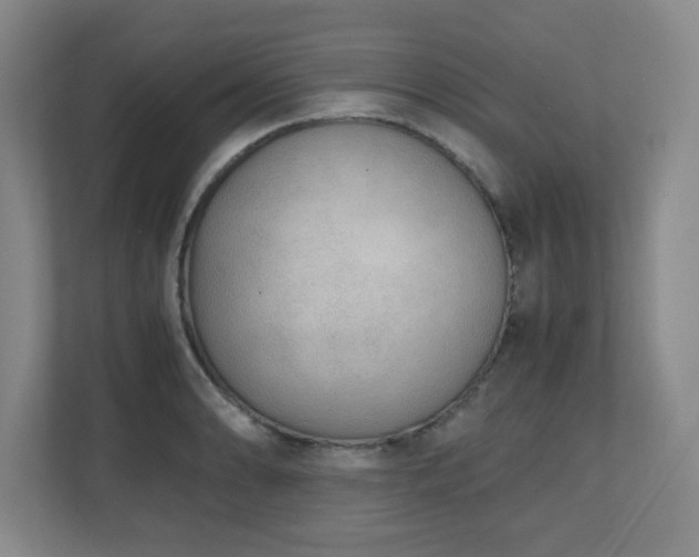 X0000110951086200906191246