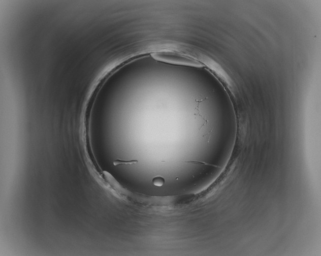 X0000110951088200906191246
