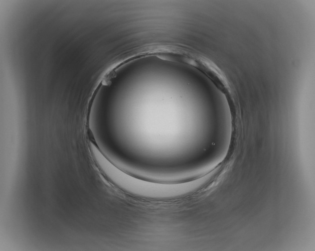 X0000110951089200906191246
