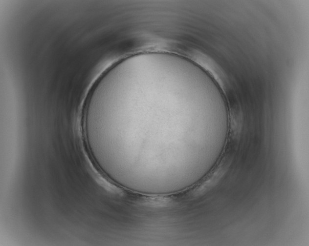 X0000110951090200906191246