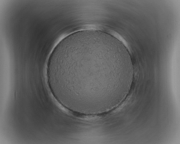 X0000110951091200906191246