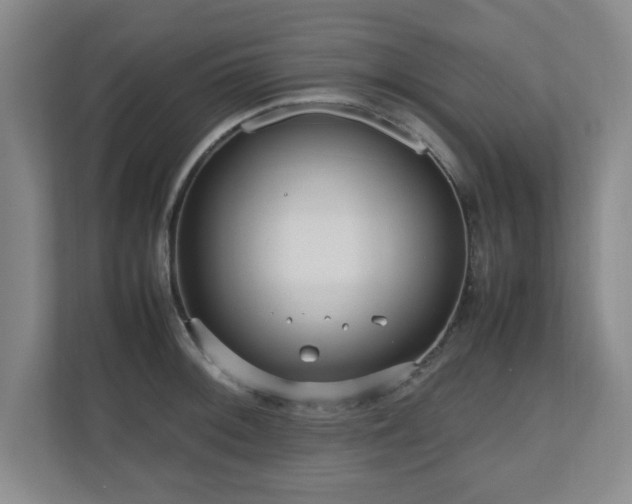 X0000110951092200906191246