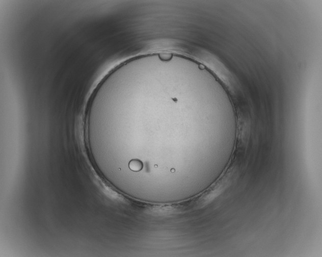 X0000110951094200906191246