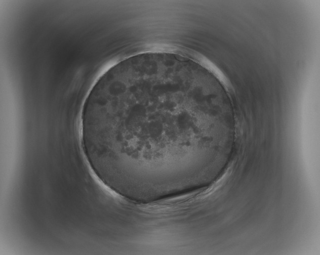 X0000110951095200906191246