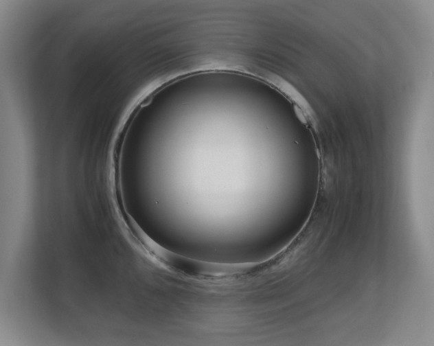 X0000110951096200906191246