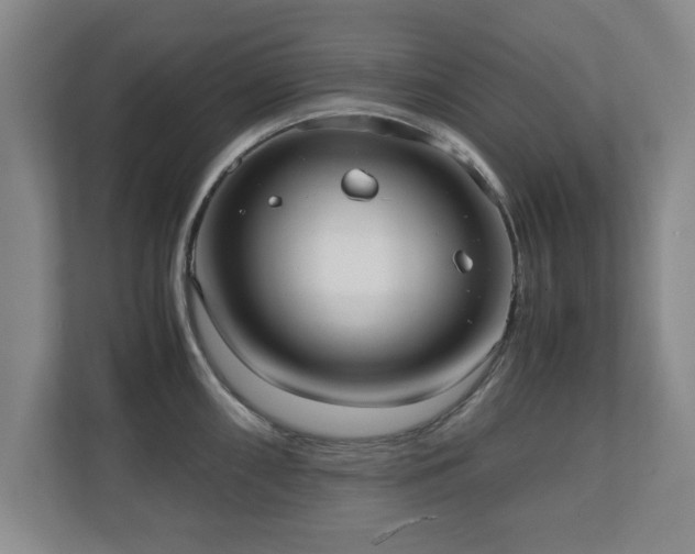 X0000110951098200906191246