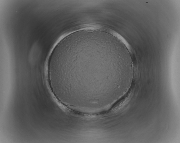 X0000110951099200906191246