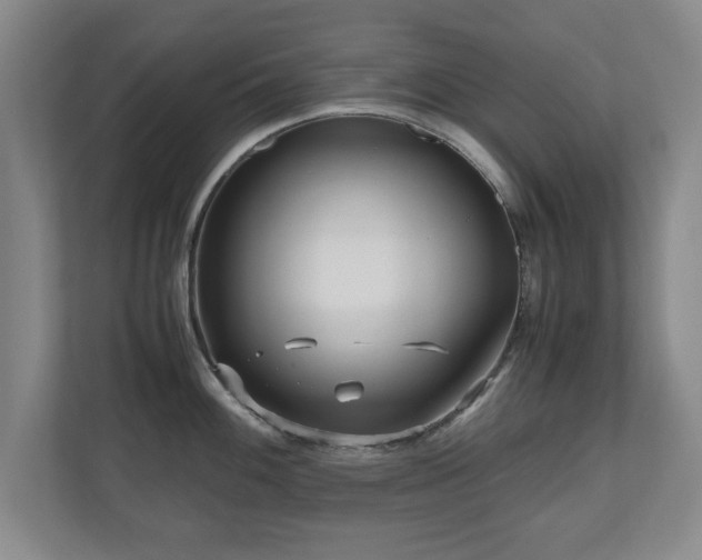 X0000110951100200906191245