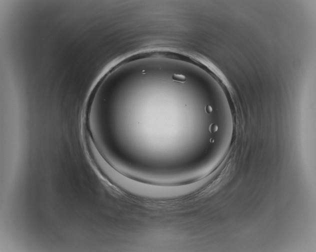 X0000110951101200906191245