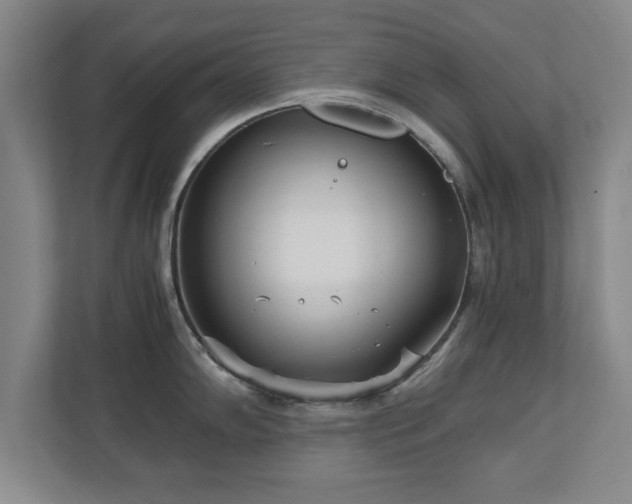 X0000110951102200906191245