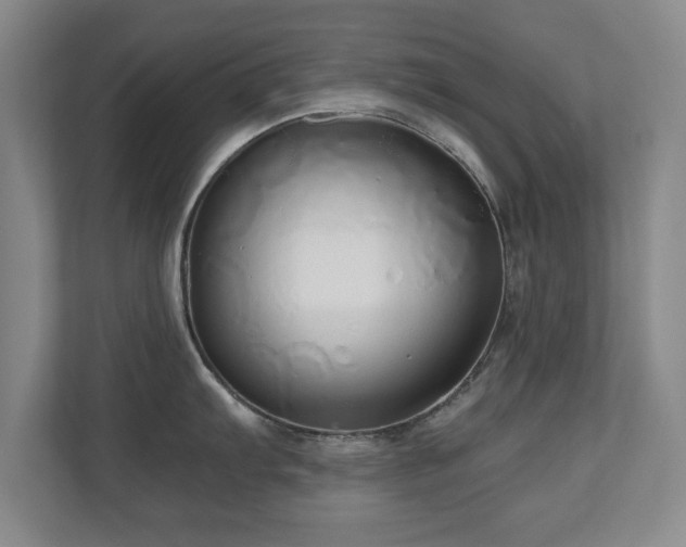 X0000110951103200906191245