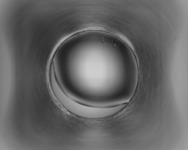 X0000110951104200906191245