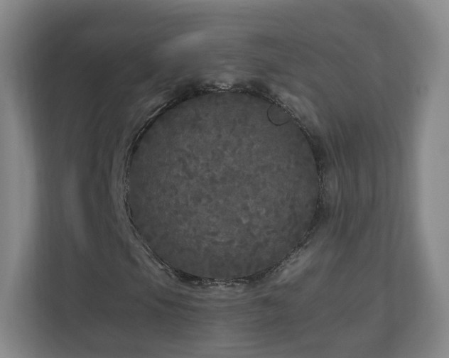 X0000110951105200906191245
